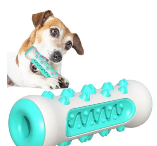 Pet Products