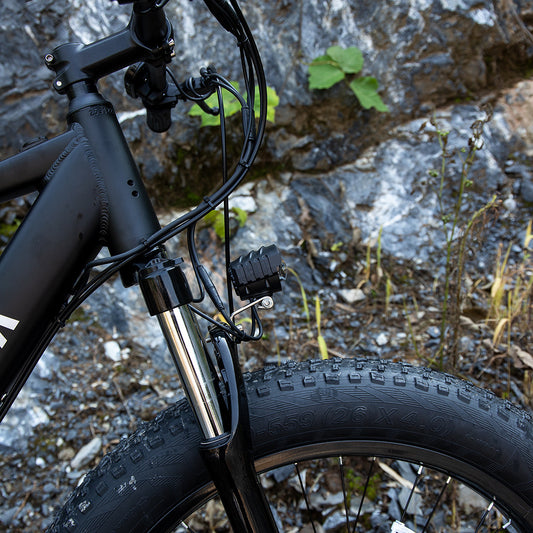 Professional Electric Mountain Bicycle