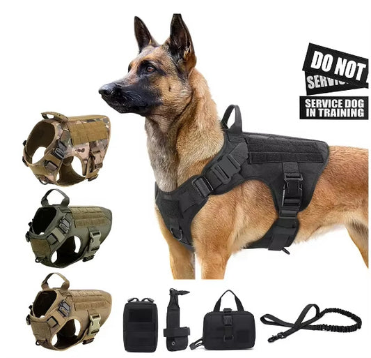 Luxury Dog Pet Harness All Size Set