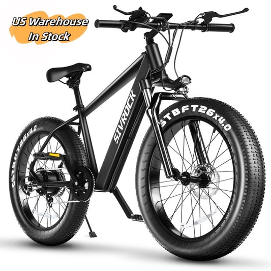 Professional Electric Mountain Bicycle