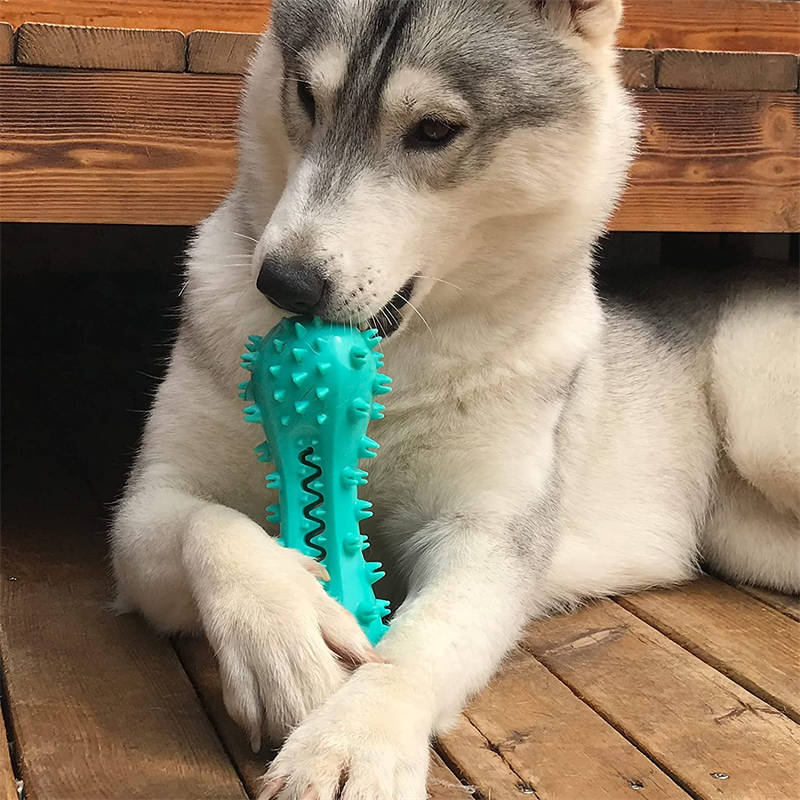 Pet Cleaning Chew Toys For Aggressive Dogs.